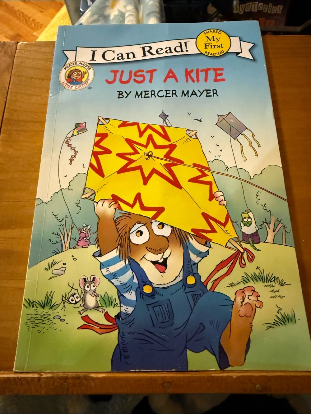 I Can Read! Just a Kite by Mercer Mayer Little Critters Children’s Book